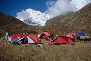 Camping in Lingzhi