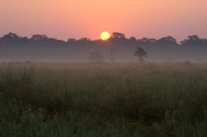Sunrise during Jaldhapara safari