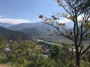Dhumra Resort, view of Punakha dzong