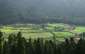 Phobjika valley